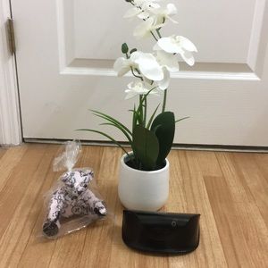 Authentic  Fendi Sunglass